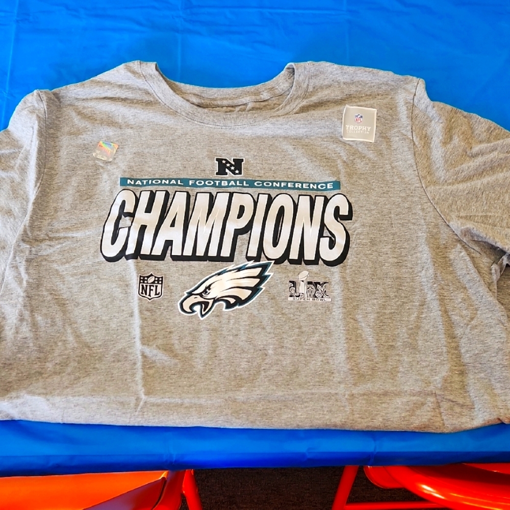 NFL Champions Mens Gray T-Shirt
